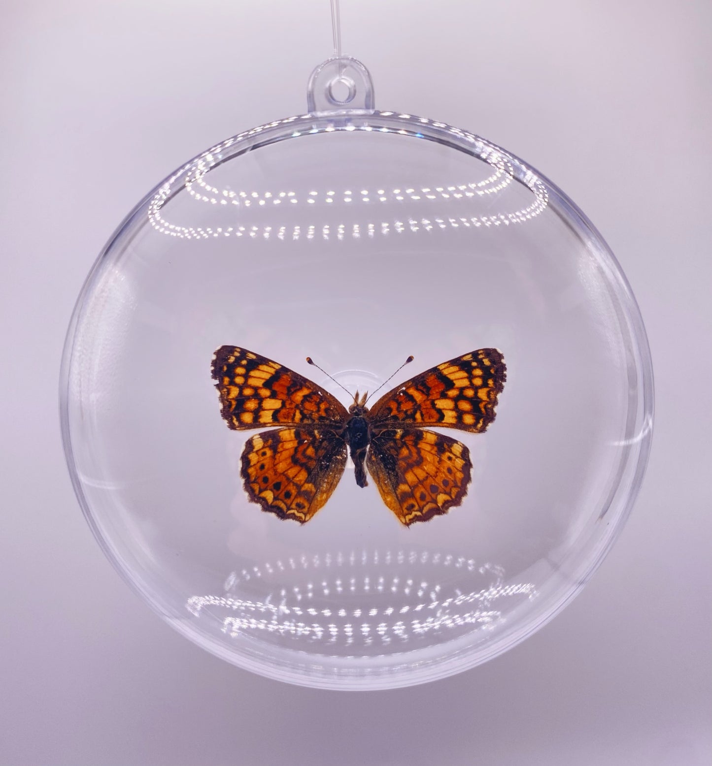 Orange, brown, and black butterfly ornament