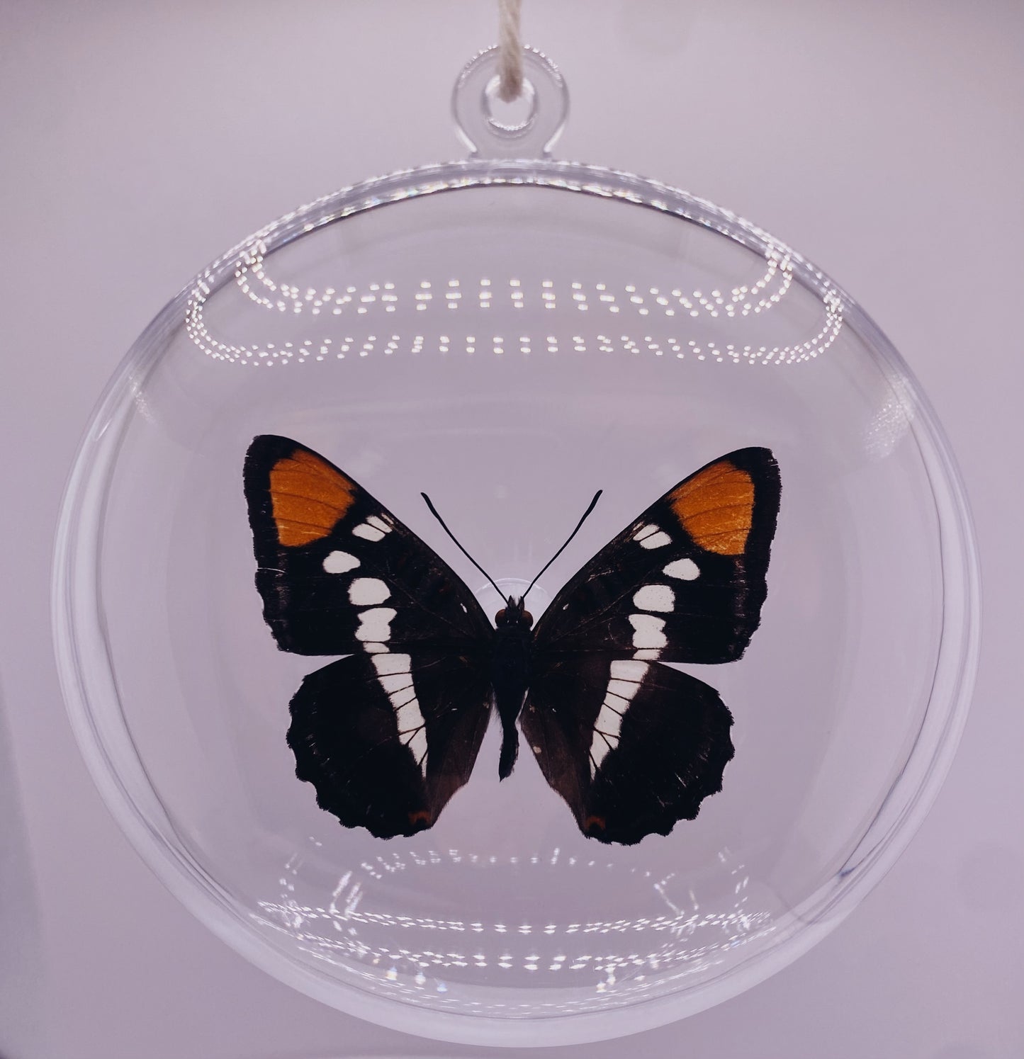 Black, orange, and white butterfly ornament