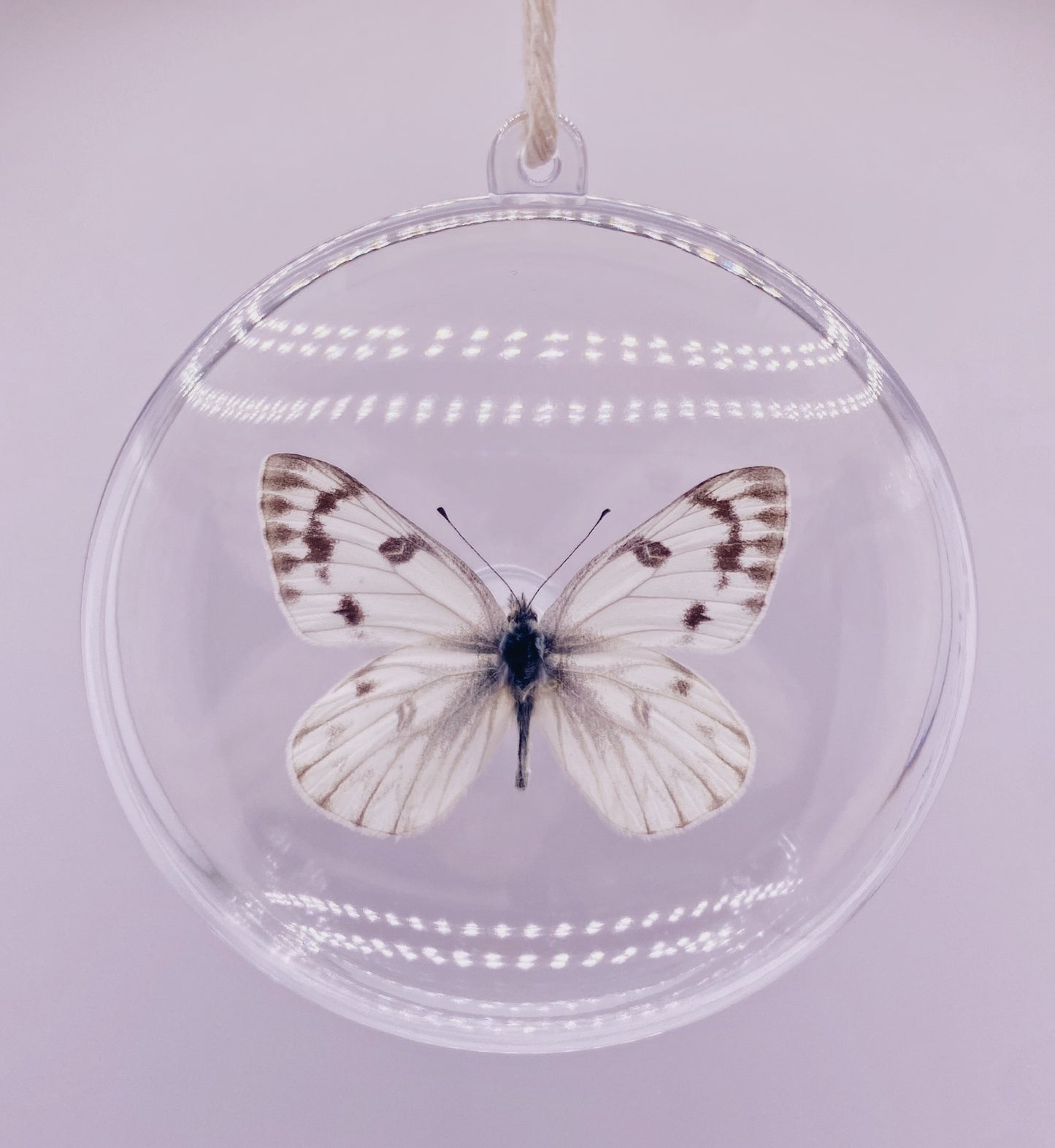 White and black butterfly ornament