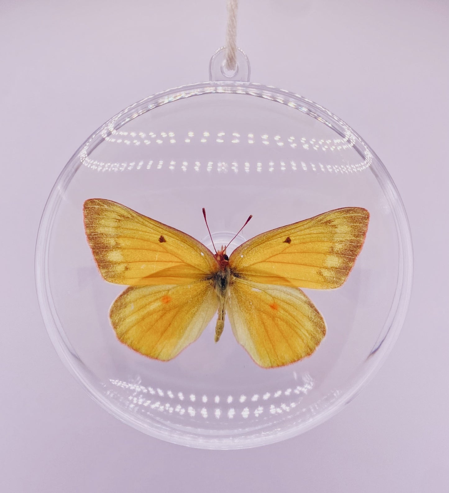 Yellow and orange butterfly ornament