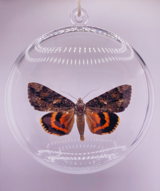 Red and pink butterfly ornament