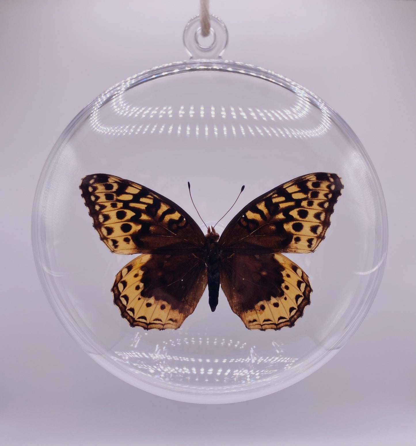 Orange, brown, and silver butterfly ornament