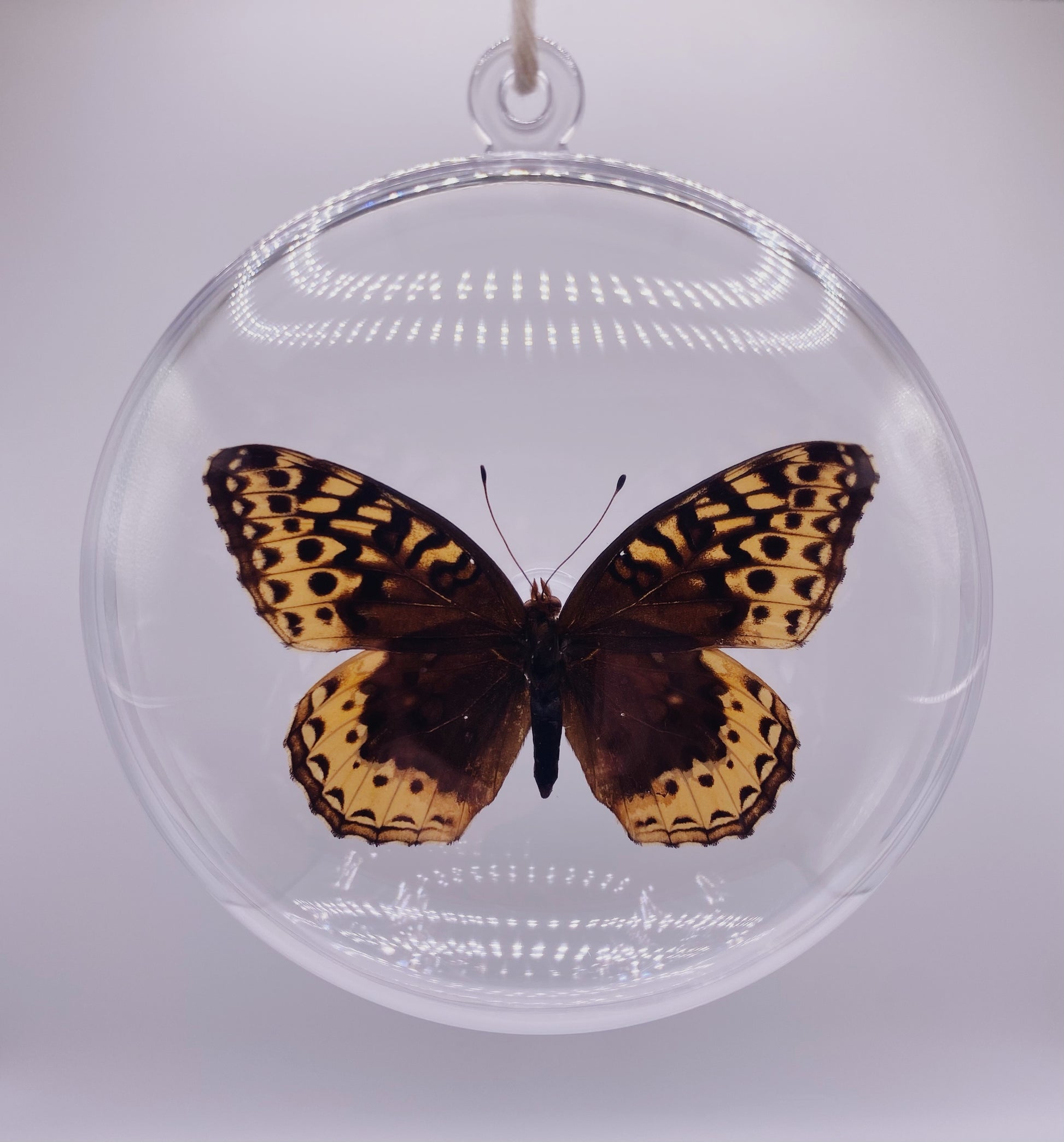 Orange, brown, and silver butterfly ornament