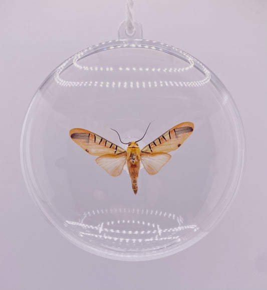 Yellow and pink moth ornament