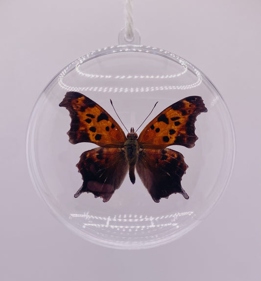 Orange, brown, and black butterfly ornament
