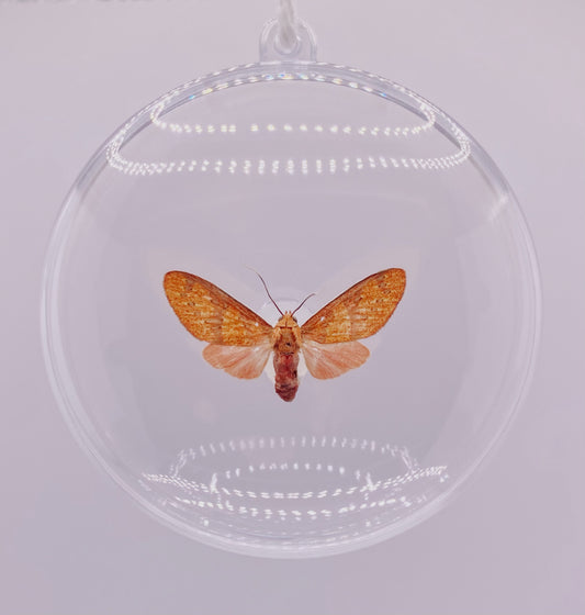 Pink moth ornament