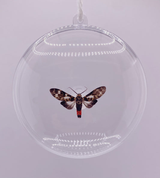 Black, white, and red moth ornament