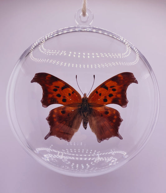 Orange and black butterfly wing ornament