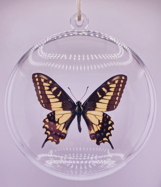 Black, yellow, blue, and red butterfly ornament